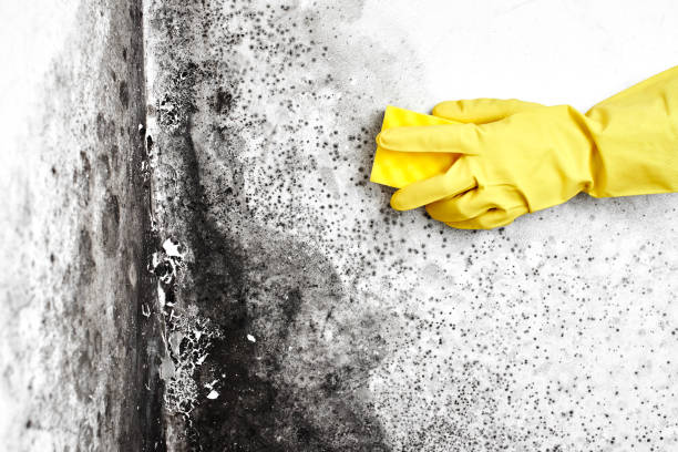 Water Damage Restoration in Stanwood, WA