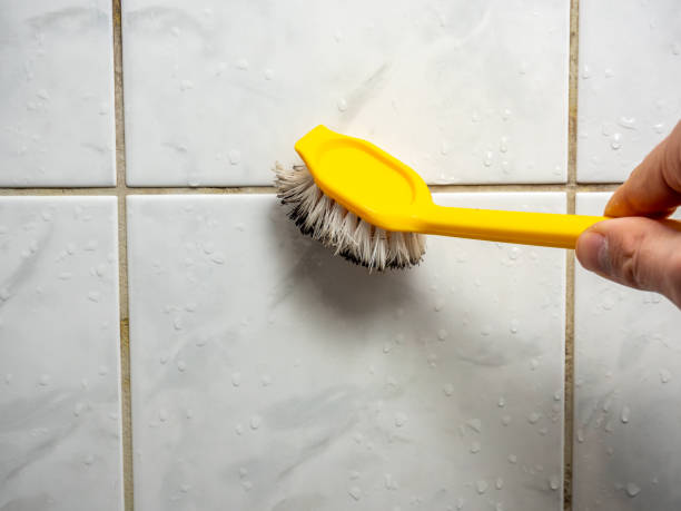 Best Mold Testing  in Stanwood, WA