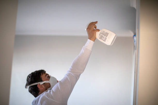 Best Affordable Mold Removal  in Stanwood, WA