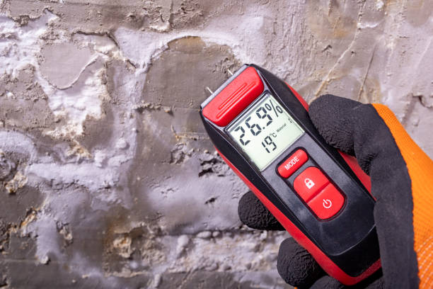 Mold Removal and Inspection in Stanwood, WA