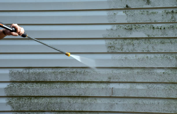 Attic Mold Removal in Stanwood, WA