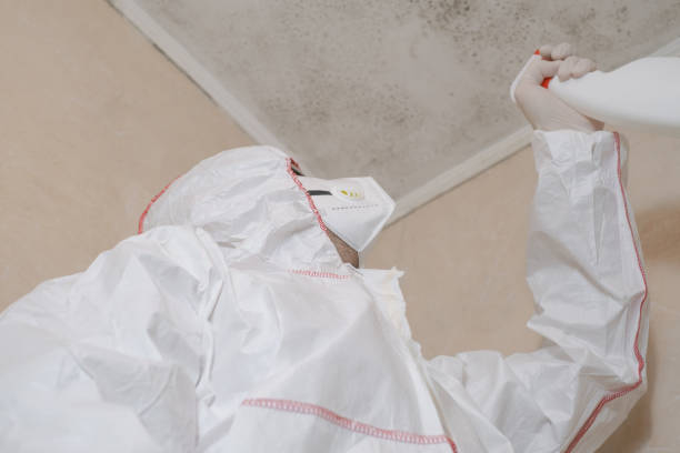 Best Crawl Space Mold Removal  in Stanwood, WA
