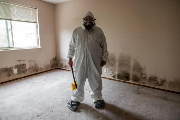 Office Mold Removal Services in Stanwood, WA